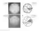 Fig. 02 - Quasicrystalline structures and uses thereof