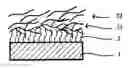 Fig. 01 - ANTIFOULING STRUCTURE