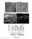 Fig. 04 - E-textiles fabricated using particle-free conductive inks