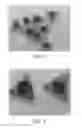 Fig. 06 - Functional abrasive particles, abrasive articles, and methods of making the same