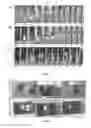 Fig. 03 - Graphene-based composite flame retardants