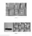 Fig. 04 - Graphene-based composite flame retardants
