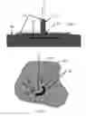 Fig. 09 - Compositions for cleaning and decontamination