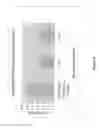 Fig. 07 - Sulfoperoxycarboxylic acids, their preparation and methods of use as bleaching and antimicrobial agents