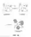 Fig. 02 - CELL CULTURES AND USE THEREOF