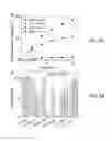 Fig. 03 - Method of coating surfaces with nanoparticles for biological analysis of cells