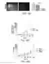 Fig. 22 - Methods for neural conversion of human embryonic stem cells