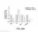 Fig. 43 - Methods for neural conversion of human embryonic stem cells