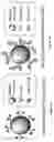 Fig. 02 - Methods for generating functional therapeutic B cells ex-vivo