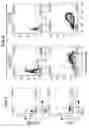 Fig. 07 - Methods for generating functional therapeutic B cells ex-vivo