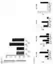 Fig. 22 - Methods for generating functional therapeutic B cells ex-vivo