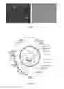 Fig. 03 - Recombinant chimeric antigen receptor gene and use thereof