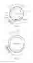 Fig. 04 - Recombinant chimeric antigen receptor gene and use thereof