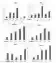 Fig. 01 - IgG type monoclonal antibodies specifically binding to odontoblast surface