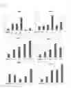Fig. 02 - IgG type monoclonal antibodies specifically binding to odontoblast surface