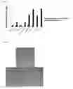Fig. 04 - IgG type monoclonal antibodies specifically binding to odontoblast surface