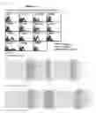 Fig. 09 - IgG type monoclonal antibodies specifically binding to odontoblast surface