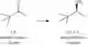 Fig. 28 - Transaminase polypeptides