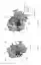 Fig. 02 - Recombinant polymerases for improved single molecule sequencing