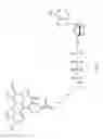 Fig. 04 - Recombinant polymerases for improved single molecule sequencing