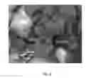 Fig. 07 - Recombinant polymerases for improved single molecule sequencing