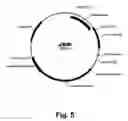 Fig. 06 - Methods for producing multiple recombinant polypeptides in a filamentous fungal host cell