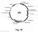 Fig. 11 - Methods for producing multiple recombinant polypeptides in a filamentous fungal host cell