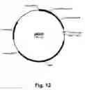 Fig. 13 - Methods for producing multiple recombinant polypeptides in a filamentous fungal host cell
