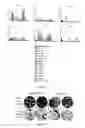 Fig. 08 - METHODS FOR SELECTING BINDERS BY PHAGE DISPLAY AND MASKED SELECTION