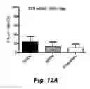 Fig. 08 - METHODS AND COMPOSITIONS FOR GENE EDITING IN STEM CELLS