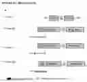 Fig. 06 - Methods and compositions for increasing efficiency of targeted gene modification using oligonucleotide-mediated gene repair