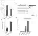 Fig. 49 - Methods and compositions for increasing efficiency of targeted gene modification using oligonucleotide-mediated gene repair