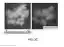 Fig. 06 - MULTIPLEX GENE TARGETING IN PLANTS