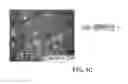 Fig. 09 - MULTIPLEX GENE TARGETING IN PLANTS