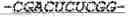 Fig. 04 - Multimeric coding nucleic acid and uses thereof