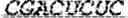 Fig. 06 - Multimeric coding nucleic acid and uses thereof