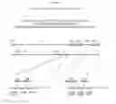 Fig. 03 - Recombinant HVT vectors expressing multiple antigens of avian pathogens and uses thereof
