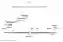 Fig. 05 - Recombinant HVT vectors expressing multiple antigens of avian pathogens and uses thereof
