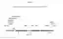 Fig. 08 - Recombinant HVT vectors expressing multiple antigens of avian pathogens and uses thereof