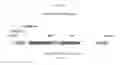 Fig. 19 - Recombinant HVT vectors expressing multiple antigens of avian pathogens and uses thereof
