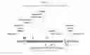 Fig. 28 - Recombinant HVT vectors expressing multiple antigens of avian pathogens and uses thereof