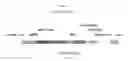 Fig. 30 - Recombinant HVT vectors expressing multiple antigens of avian pathogens and uses thereof