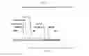 Fig. 34 - Recombinant HVT vectors expressing multiple antigens of avian pathogens and uses thereof