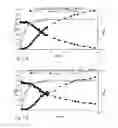 Fig. 03 - Construction of a Lactobacillus Casei Ethanologen