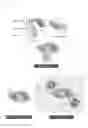 Fig. 02 - Reporter construct and biosensor for interferon second messenger 2-5A