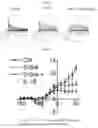 Fig. 13 - Compositions and methods for diagnosing and treating arrhythmias