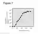 Fig. 07 - Method of amplifying circular DNA