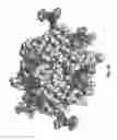 Fig. 03 - Modified biotin-binding proteins for immobilization