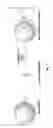 Fig. 04 - Modified biotin-binding proteins for immobilization