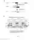 Fig. 07 - Methods for analyzing nucleic acids from single cells